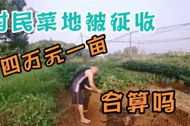 江西村民菜地被征收，四万元一亩，与其他省比较算高的吗视频封面