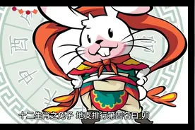 十二生肖之兔子，温顺可爱、平静顺从，落落大方视频封面
