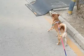生活消遣视频封面