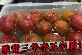 佛山媳妇两分钟教你腌制三华李，酸甜可口，开胃又好吃！