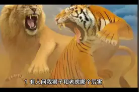 25个笑到抽筋的短笑话视频封面
