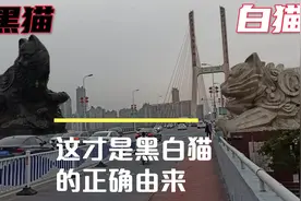 南昌八一桥黑白猫究竟啥由来？道听途说的太多，小坏今天来说一说视频封面