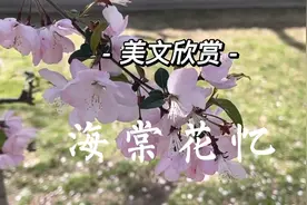 央视主持人黄薇朗诵《海棠花忆》，纪念伟人！视频封面