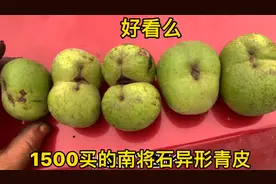 1500买几个异形核桃，不知道里面啥样，成熟度还不错视频封面
