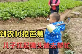 湖南怀化农村吃饭去挖芭蕉，儿子扛起锄头就是帮忙，开始放飞自我视频封面
