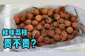 巧妇九妹同款荔枝，顺丰快递从广西发货，运费91，贵不贵？视频封面