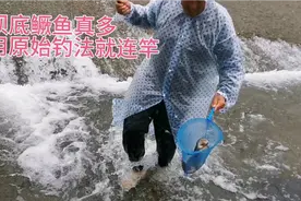 溪流坝底鳜鱼泛滥，手竿秒变路亚竿，挂条小鱼就连竿视频封面