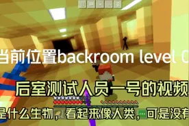 backroom level 0 后室测试人员001的工作录像 (制作不易点个赞)视频封面
