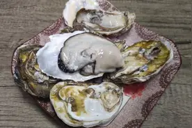 生蚝肥不肥，学会这几招，一挑一个准，老渔民的方法真有效视频封面