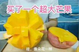 美丽买了一个超大芒果，切了一大盆果肉，娘俩抢着吃，香甜可口视频封面