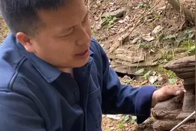 湘西大山深处淘石无数次这一次算上真正的淘到具有独特魅力的奇石视频封面