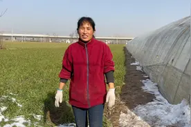 俺大哥大嫂都回来了 都在地里刨蒜苗 在大棚里吃火锅 团圆的幸福视频封面