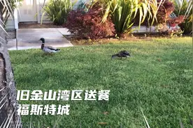 今天是美国时间星期六！车多人多！看看福斯特城！视频封面