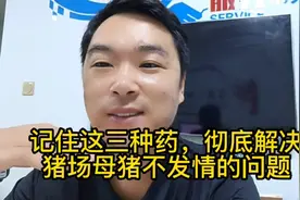 记住这三种药，彻底解决母猪不发情的问题！新养猪的朋友一定要学视频封面