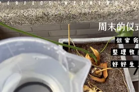 整理收纳的乐趣视频封面