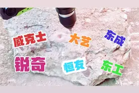 威克士东成大艺锐奇性价比高？电锤谁是老大？小侯测试都是水货机
