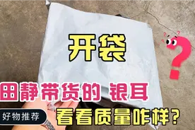 花9.9元下一单田静带货的银耳，打开袋子看一看，质量到底咋样？视频封面