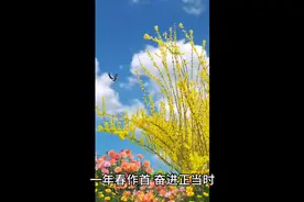 魏县举行2023年项目建设现场会暨项目开工仪式，总投资46.91亿元视频封面