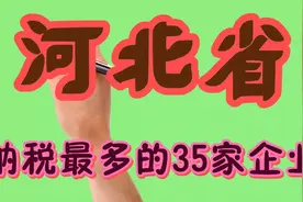 河北省纳税最多的35家企业视频封面