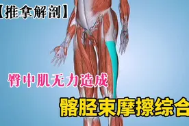 臀中肌无力造成了髂胫束摩擦综合征！【推拿解剖】视频封面