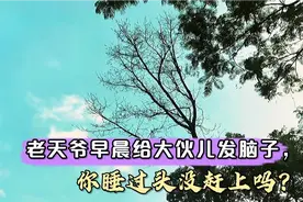 【摘抄】文学大佬怼人名句：毒舌，毒辣，吾辈凡人无出其右视频封面