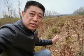 春季咋就不能裸栽牡丹，风景无限说出了都不愿意讲的原因视频封面