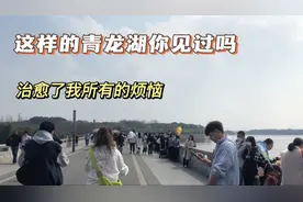十年难得一遇，成都的青龙湖，惊现人从众，被游客挤爆了的公园视频封面