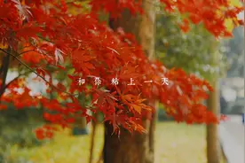 我在杭州西湖，你在哪？视频封面