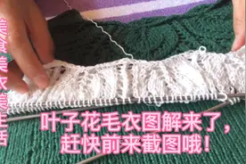 大家期待的叶子花毛衣图解来了，赶快截图收藏吧！视频封面