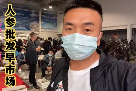 长白山人参批发早市，林下参和野山参的区别，同样价格你选哪个？视频封面