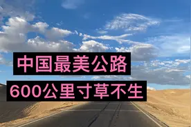 中国最美公路之一青海315国道！600公里寸草不生！视频封面