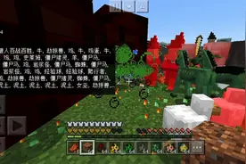我的世界
新手必备的五条指令
 (指令在评论区了)视频封面