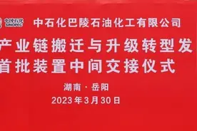中石化巴陵石油化工有限公司己内酰胺产业链搬迁与升级转型发展…视频封面