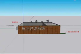 锦鲤鱼池建造3d效果 喜欢的鱼友可以收藏！视频封面