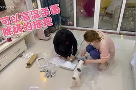 前两天就到了一款高温蒸汽式拖把，今晚周末让小马哥先拆箱安装下视频封面