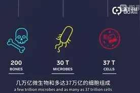 [一个很值得收藏的生命教育视频 人死后 身体会发生哪些变化]视频封面