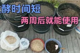 适合小家庭制作发酵粪肥的好方法，腐熟彻底，升温好冬季也能制作视频封面