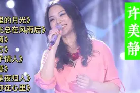 许美静《城里的月光》《阳光总在风雨后》《铁窗》《都是夜归人》视频封面