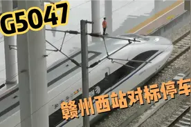 G5047（南昌-赣州西）赣州西站对标停车视频封面