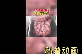 大便💩产生的动画演示视频封面