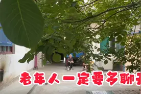 老年人一定要与中青年人多聊天视频封面