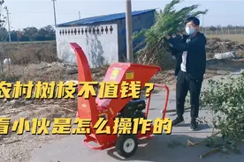 小伙发现农村树枝不值钱，大量低价收购，目前年入几十万视频封面