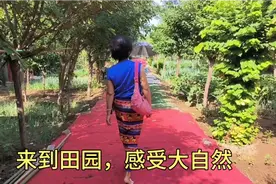 今天来到朋友的田园，找回以前的记忆。视频封面