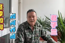 冬季如何养好君子兰，才能让其生长旺盛正常上箭开花视频封面