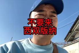 此时此刻千万不要来西双版纳旅游，看完这条视频你就懂了视频封面