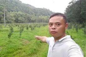 退休老师不顾家人反对承包30亩地种茶树，2年之后发现自己赚了视频封面