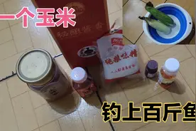钓鱼：嫩玉米加上这几样东西泡制，再大的鱼也扛不住诱惑！视频封面