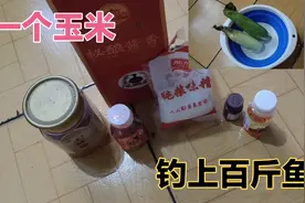 钓鱼：嫩玉米加上这几样东西泡制，再大的鱼也扛不住诱惑！视频封面