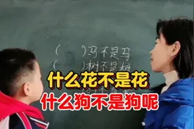 什么花不是花，什么马不是马，什么狗不是狗？ 最后两个真不知道视频封面
