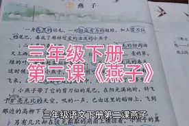 三年级语文下册第二课《燕子》视频封面